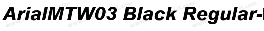 ArialMTW03 Black Regular字体转换